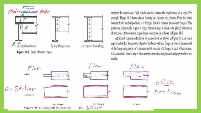The different types of coped beams.